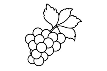 Detailed Line Art of Grapes with Leaves – Vector Illustration