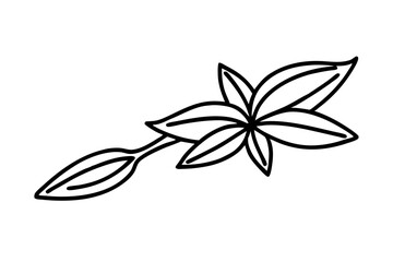 Detailed Line Art of Spices – Culinary Illustration for Blog and Recipes