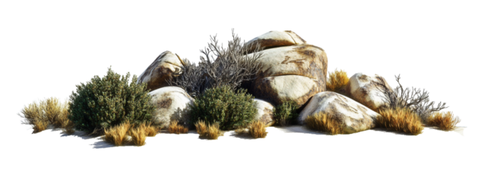 Desert Landscape:  Arid Rocks and Resilient Plants in Harsh Terrain