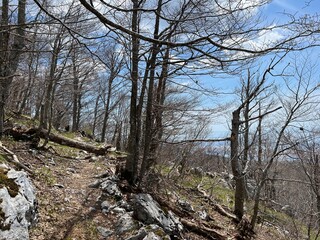 Premuzic hiking trail or Premuzic Trail - Velebit Nature Park, Croatia or Premuzic-Wanderweg or Premuzic's Trail (Pje&scaron;ački planinarski put Premužićeva staza - Park prirode Velebit, Hrvatska)