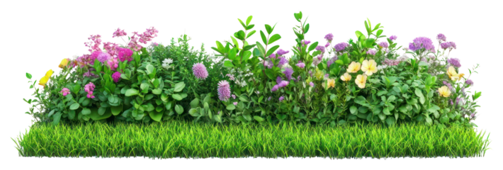 PNG Various spring flower bushes outdoors colorful garden.