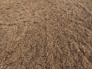 Empty, dry land, cracked surface, empty farm