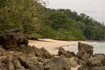 rocky coast of the sea