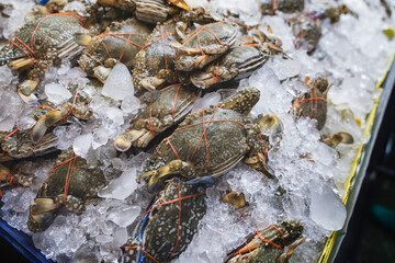 Blue crab - Portunus armatus. Pile of fresh crabs tie with rubber band with in an ice tray on a stall for sale at Thai Seafood Market, Mahachai, Samut Sakhon.