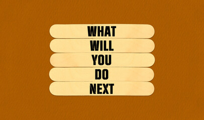 What Will You Do Next Symbol. Concept word What Will You Do Next on beautiful wooden stick. Beautiful Orange Chart Paper Background. Business and What Will You Do Next concept. Copy space