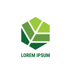 simple hexagonal leaf design logo