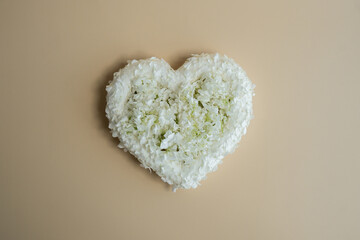 White lilac flowers heart shaped in pastel backdrop. Symbol of love floral arrangement. Spring concept idea Valentine's Day, weeding proposal postcard copy space for your text 