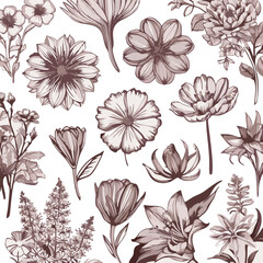 Botanic set of detailed various flowers line vector illustration white background