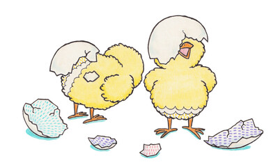 卵から孵ったひな鳥のイラスト