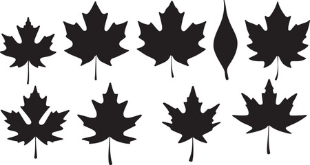 Maple leaf silhouettes