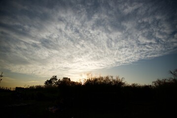 Obraz premium 노을이 지는 하늘에는 구름이 가득하고, 하늘 아래에는 억새 군락이 보이는 풍경