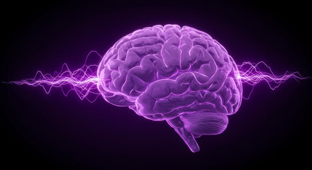 Understanding Epilepsy: Brain and Encephalography Visualization During Seizure in 3D with Purple Color Tone