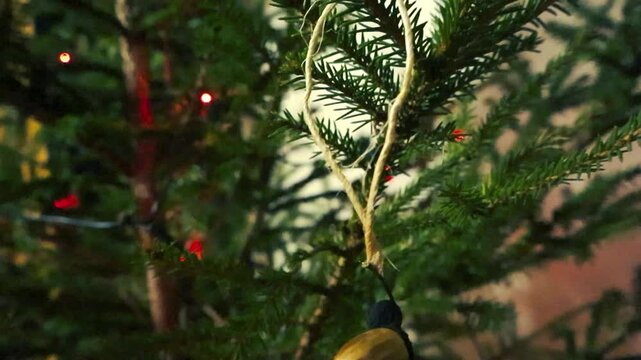 Close up or closeup footage of golden yellow acorns and other Christmas decorations on a festive holiday green Christmas tree indoors. Led lights are visible in the background blurred, camera rising.