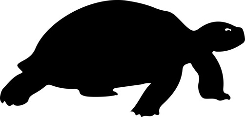 Tortoise Silhouette Design, Minimalist Tortoise Silhouette, Abstract Tortoise Art, Tortoise Silhouette in Nature, Artistic Tortoise Shadows, Creative Tortoise Silhouettes, Simple Tortoise Outline, Eel