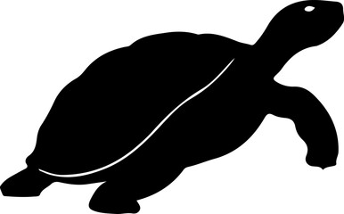 Tortoise Silhouette Design, Minimalist Tortoise Silhouette, Abstract Tortoise Art, Tortoise Silhouette in Nature, Artistic Tortoise Shadows, Creative Tortoise Silhouettes, Simple Tortoise Outline, Eel