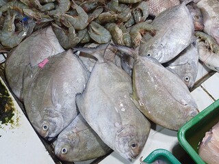 Various fresh fish at the beautiful Poris market, from milkfish, squid, shrimp to red snapper and...