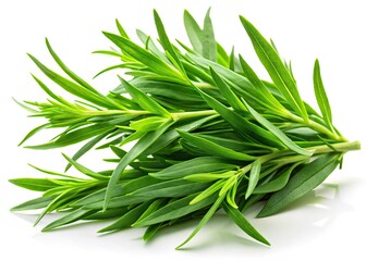 Fototapeta premium Long Exposure Tarragon Photography: Isolated Herb Image, White Background, Culinary Herb Stock Photo
