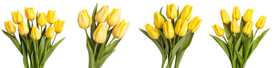 Fototapeta premium Vibrant and Bright Yellow Tulips Bouquet in Beautiful Spring Floral Arrangement Blooming Flowers Garden