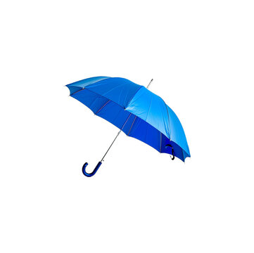 umbrella