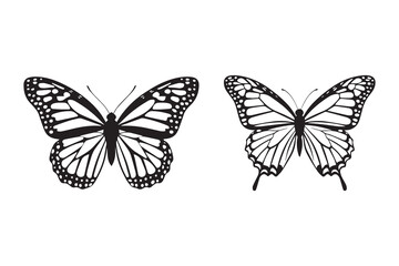 Butterfly silhouette and vector icon