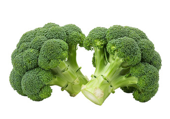 Two fresh green broccoli heads, one slightly tilted to show the stem, isolated on a white background
