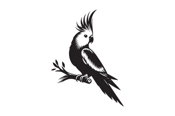 Whispers of Grace: The Enchanting Silhouette of a Cockatiel