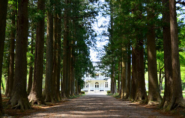 大木森に佇む白亜の邸宅