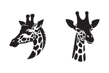 Giraffe head silhouette vector and icon design © MdAhad