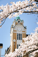 福島県郡山市公会堂と桜の花