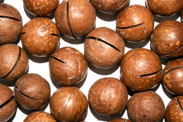 Macadamia nuts in a shell on a white background.Macadamia nuts from Australia.Macadamia is a genus of woody plants in the Proteaceae family.