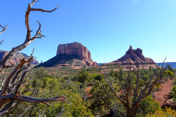 Landscape, rocks, forrest and cactus around Bell Rock in Sedona Arizona Trails.