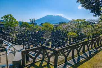 日本の九州の鹿児島の南洲墓地の西南戦争の薩摩軍の墓と桜島の景色