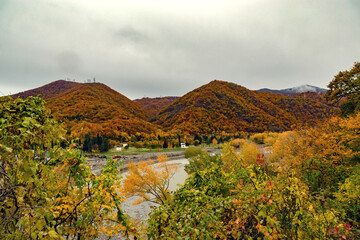 Obraz premium Beautiful mountains in the colors of autumn. Autumn hills painted in different colors. Autumn colors on the trees. Scenic view of the mountain slopes covered with autumn vegetation and rocky textures.