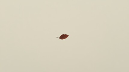 Single Red Leaf Floating on Neutral Background, Nature and Serenity