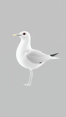 Obraz premium A Single White Seagull with Bright Orange Eyes Standing on a Gray Background Digital Illustration