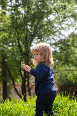 Fototapeta premium Baby walking in park. Little child play in park. Portrait of a happy baby in grass field.