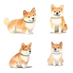 watercolors Cute shiba inu dog isolated illustration