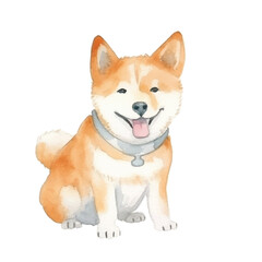 watercolors Cute shiba inu dog isolated illustration