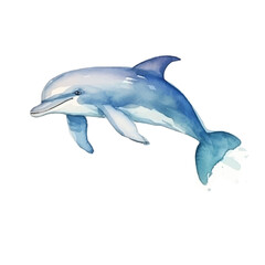watercolors A playful dolphin jumping isolated illustration