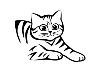 Obraz premium Cute cat icon on white background.