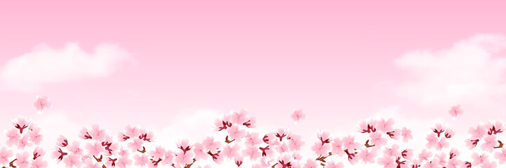 Fototapeta premium 桜 和柄 水彩 背景