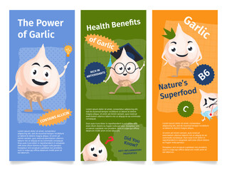 A template for a leaflet promoting the health benefits of garlic, highlighting its nutritional value and antioxidant properties.