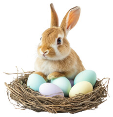 PNG Cute rabbit eggs easter nest.