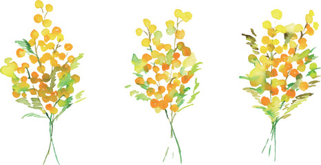手描きのミモザイラスト。水彩タッチのミモザベクターイラスト。ミモザの春フレーム背景。Hand drawn mimosa illustration. Mimosa vector illustration with watercolor touch. Mimosa spring frame background.