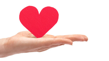A beautiful red love in the middle of a hand on a transparent background