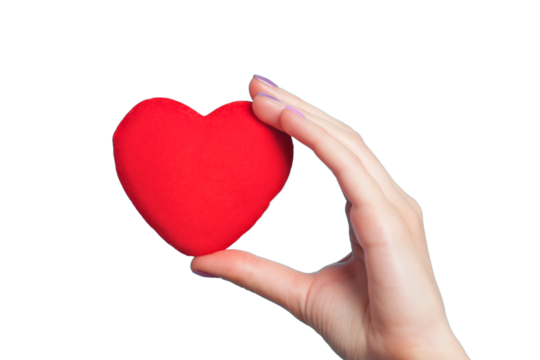 A red love heart is held in a hand on a transparent background.