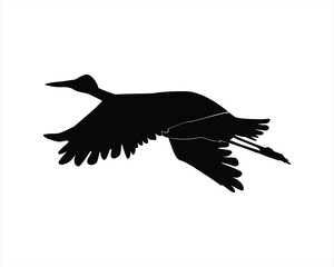 silhouette of a sandhill crane vector illustration