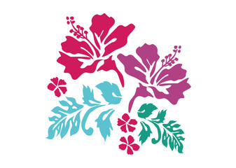 Hand drawn hibiscus flower, very beautiful