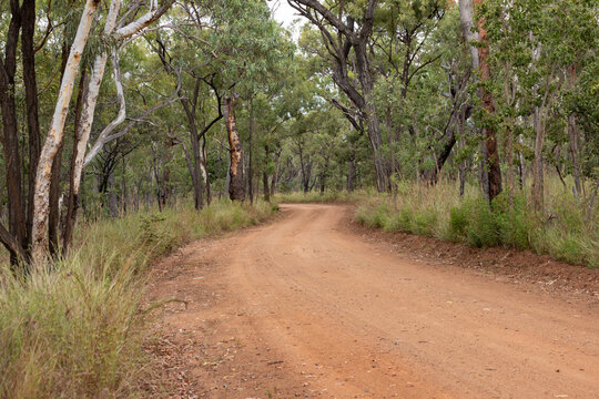 sharp bend winding outback track road tree lined bush