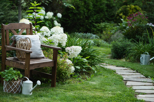 summer ornamental garden view with blooming hydrangea paniculata and wooden chair with cozy pillow and decorations. Resting outdoor.